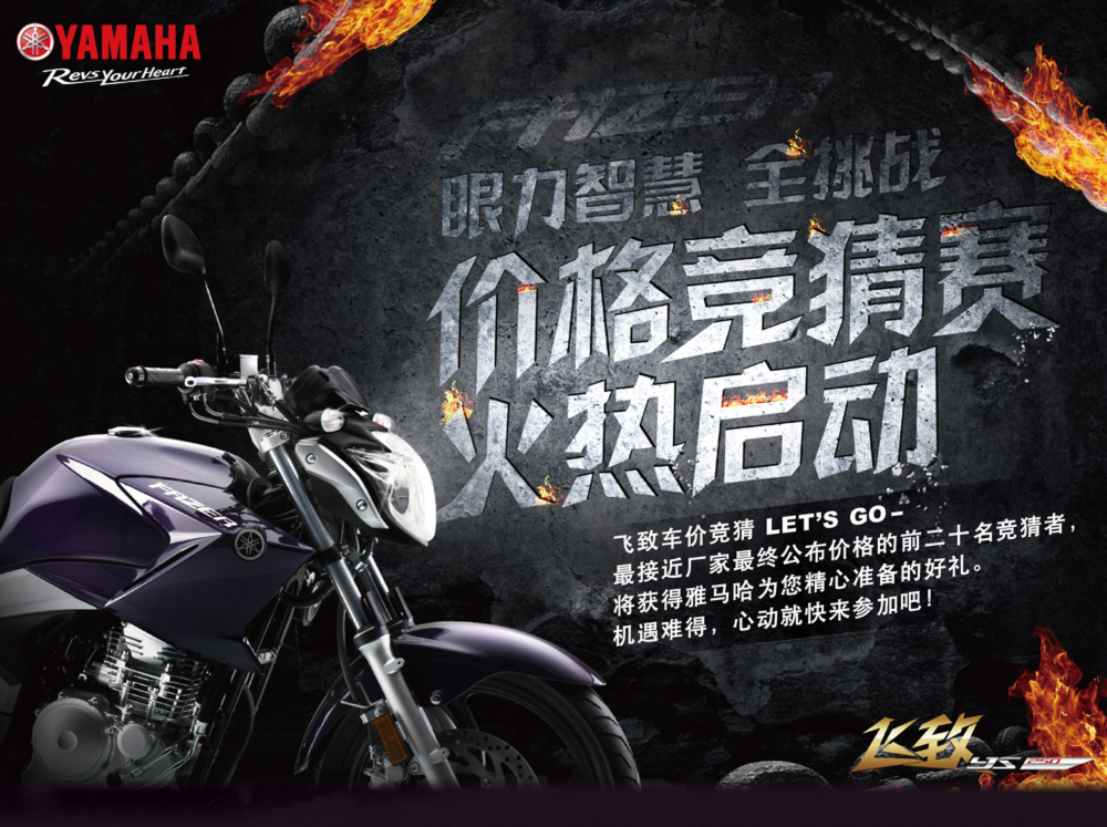 YAMAHA����������YS250���»