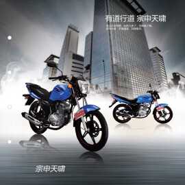 ZS125-55Fͼ(2)