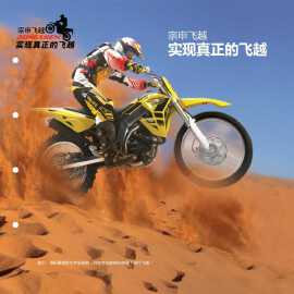 ZS125GY-10Sͼ(5)