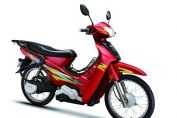 ׶ ZPM1000DW(ƽԭ)(1)