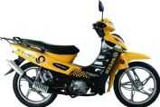 ӥ ZS110-26S II(1)