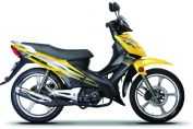 V ZS110-61S(2)