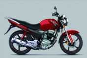  ZS125-65(4)