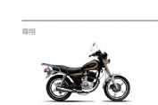 ZS125-Sͼ1(4)