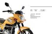 ZS150-6Dͼ1(6)