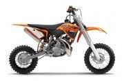 50 SX(�ڻ�����)�������(1��)