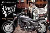 VENOX 250 Fiͼ��(2��)
