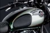 W800��2011��ֲ�ϸ��(10��)