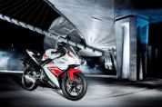 YZF-R125 WGP(50��������)ͼ��(1��)