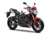 FZ8 WGP��50�������棩�������(4��)