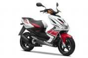 Aerox WGP��50�������棩�������(8��)