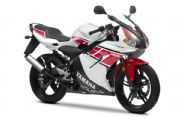 TZR50 WGP��50�������棩�������(8��)