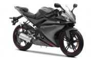 YZF-R125�������(12��)