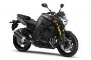 FZ8�������(11��)