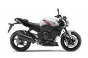 FZ1/ABS�������(7��)
