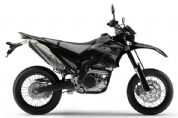 [WR250X]�������(4��)