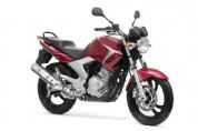 [YBR250]�������(9��)