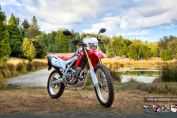CRF250L⾰(9)