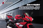 XGJ250-21ͼ��(1��)