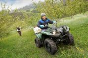 Grizzly 450 IRS�⾰(4��)