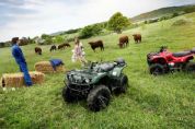 Grizzly 350 4WD�⾰(2��)