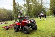Grizzly 300�⾰(4��)