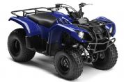 Grizzly 125�������(4��)