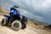 Grizzly 125�⾰(4��)
