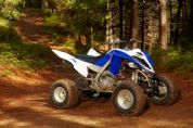 YFM700R Special Edition�⾰(2��)