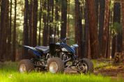 YFZ450�⾰(2��)