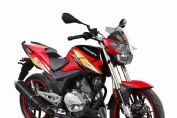 Z-oneS ZS150-48A(15)