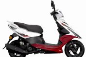 ZS125T-25(4)