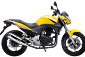 ZS150-38C(5)