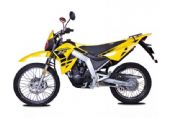 ZS150GY-10(3)