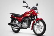 FK125-G�������(2��)