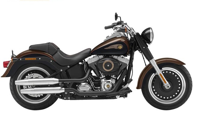 ���״�άɭ Harley-Davidson ���ж���110��������(2013)