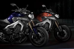 2014��MT-09�ֲ�ϸ��(20��)