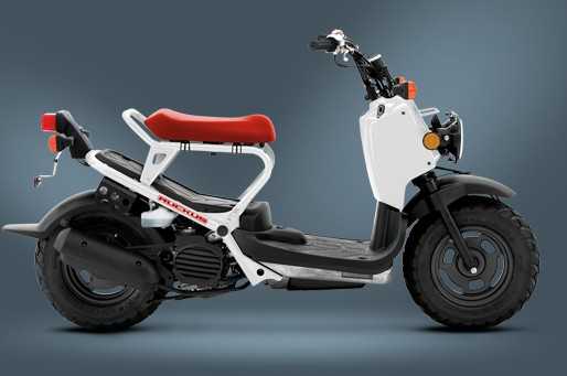 ���� Honda RUCKUS
