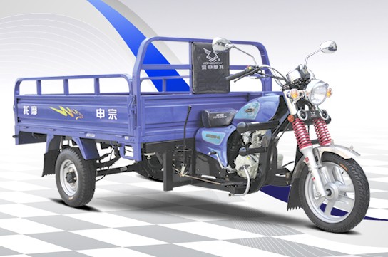 �������� ZS200ZH-19