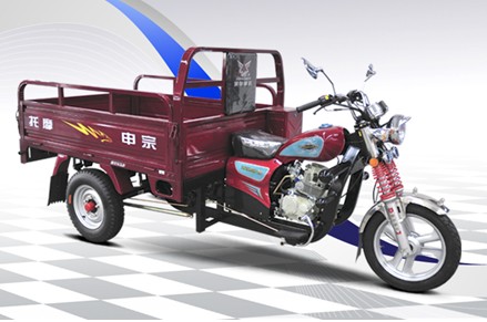 �������� ZS150ZH-2D (3)