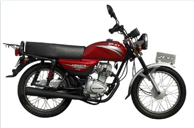 ��� ZF004