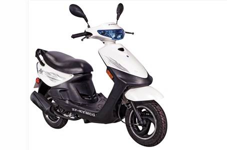 ��� ZF48QT-13(G)