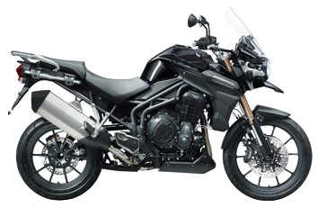 ����triumph �ϻ�
