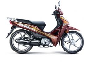 ������ SDH110-19�������(1��)