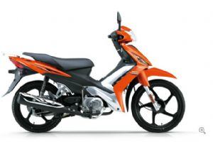 �ŵ� HJ110-5�������(4��)