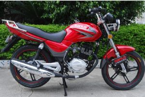 SL125-3CT�������(1��)
