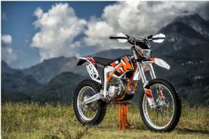 2014��Freeride 250R�⾰(8��)