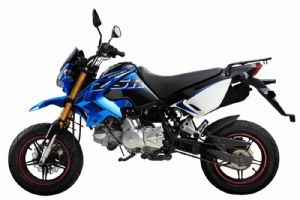 ZS125GY-5(2)