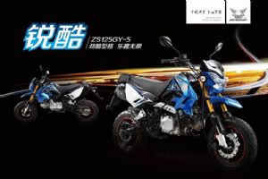 ZS125GY-5ͼ(2)