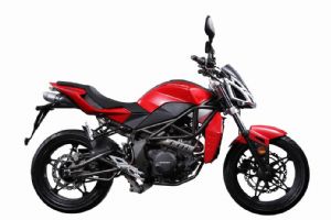 ױ ZS250GS-3(3)